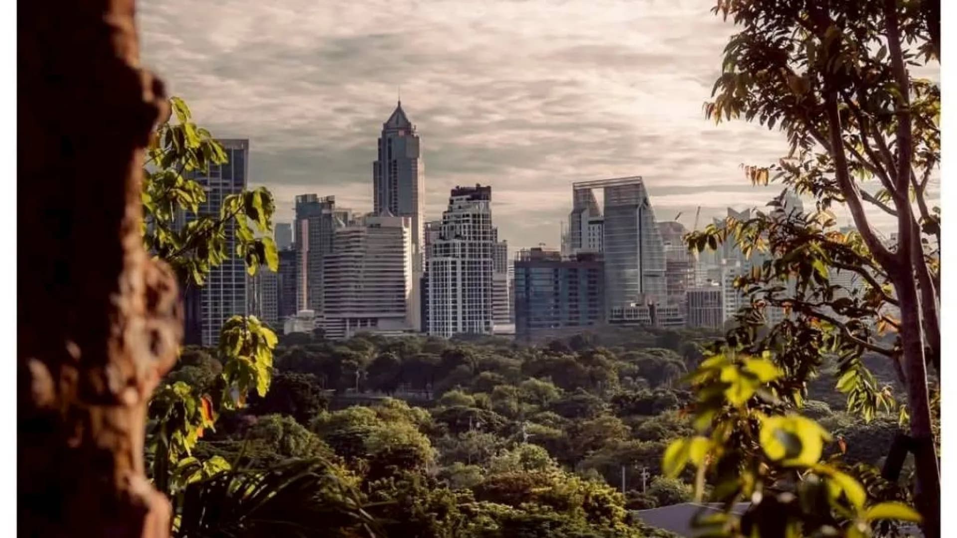 Изображение услуги12