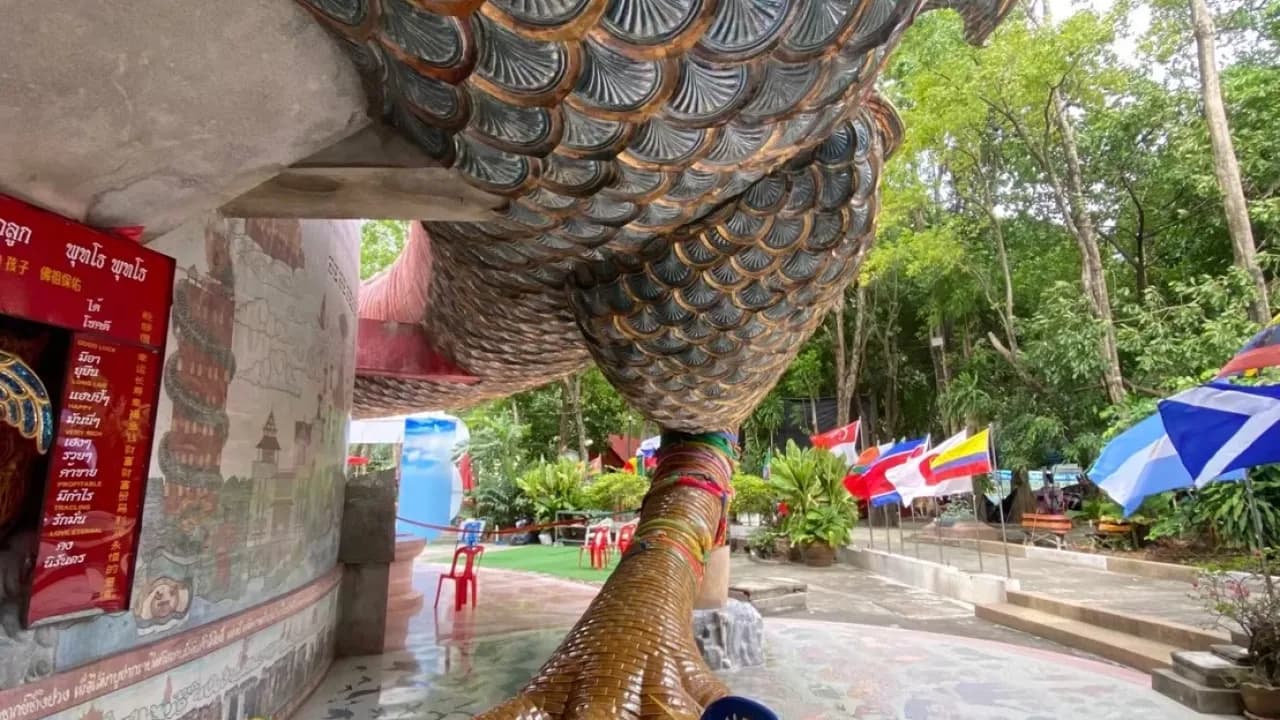 Изображение услуги5