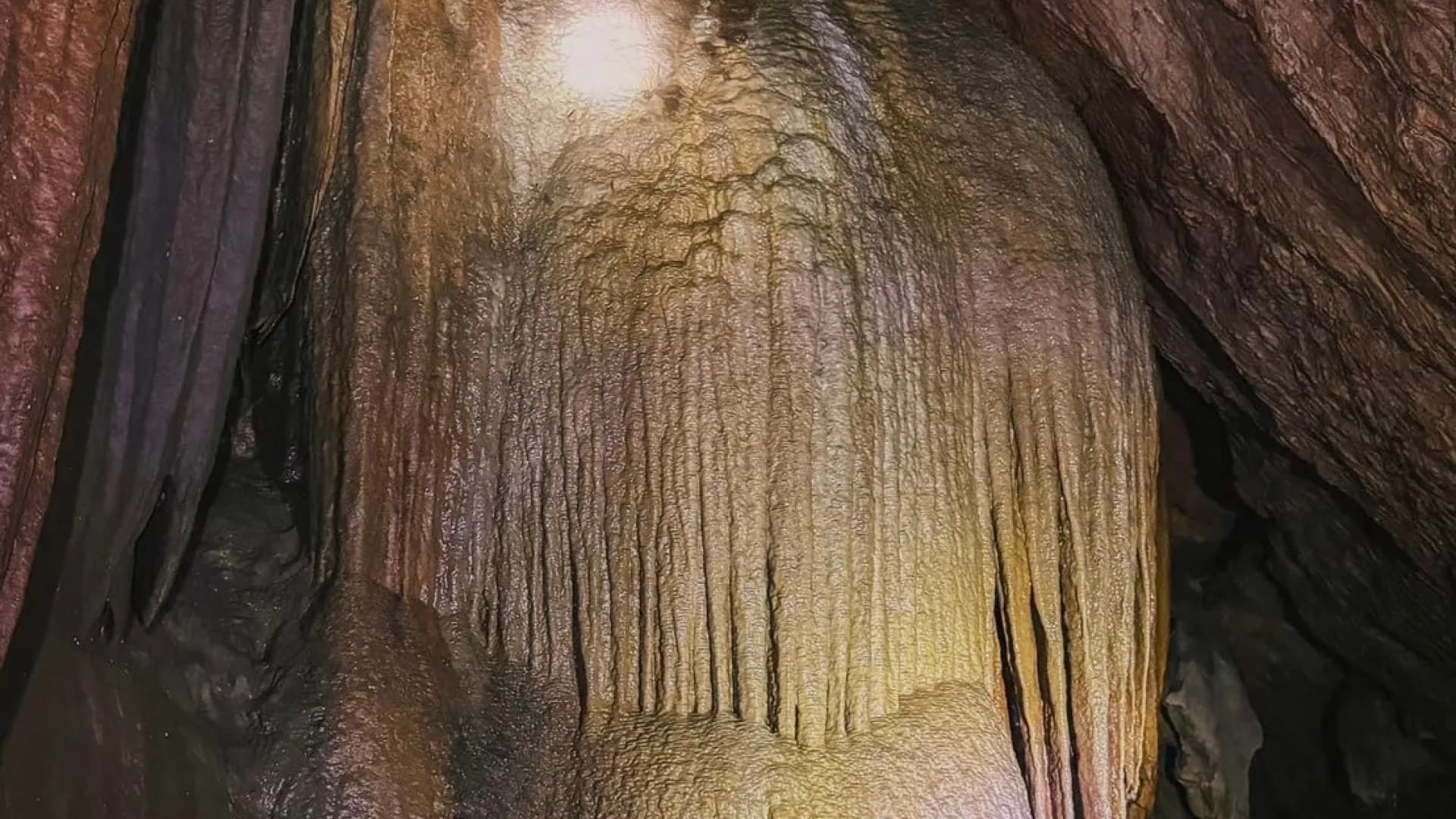 Изображение услуги11