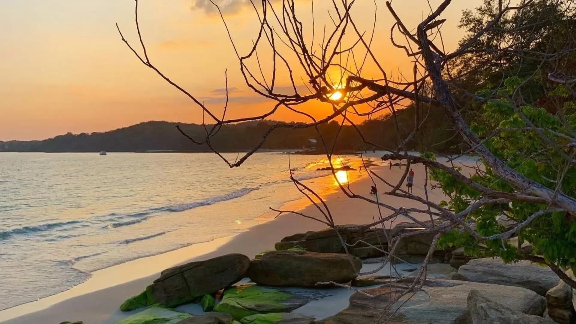 Изображение услуги9