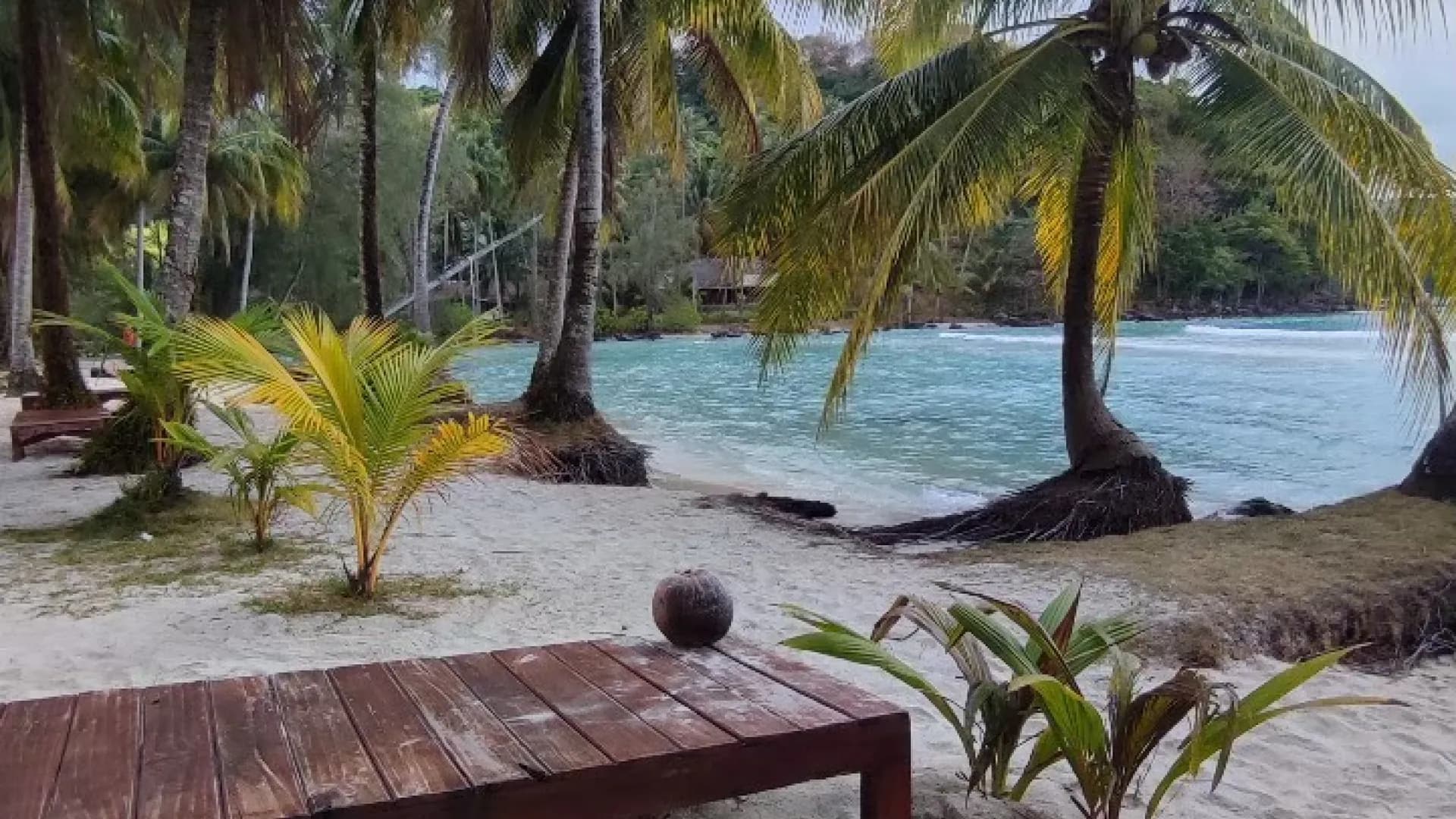 Изображение услуги1