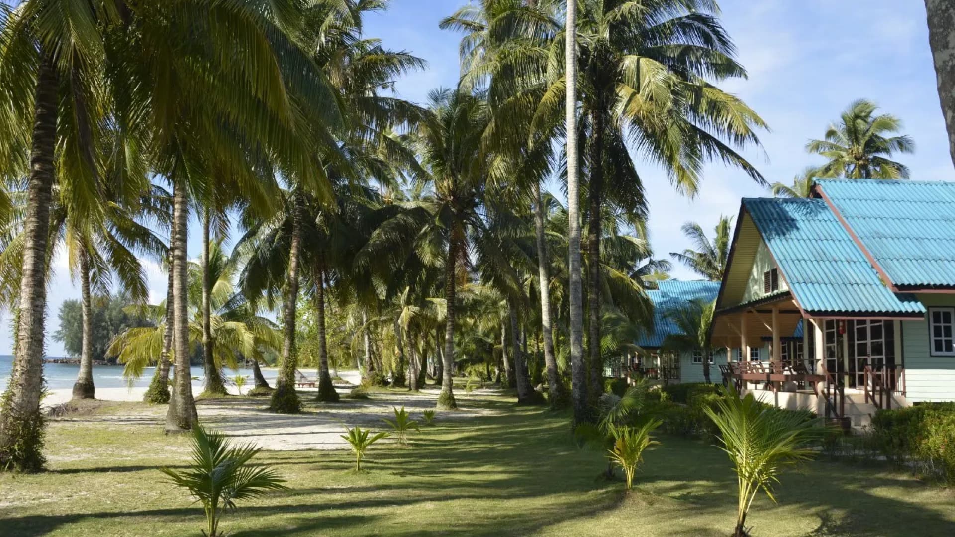 Изображение услуги11