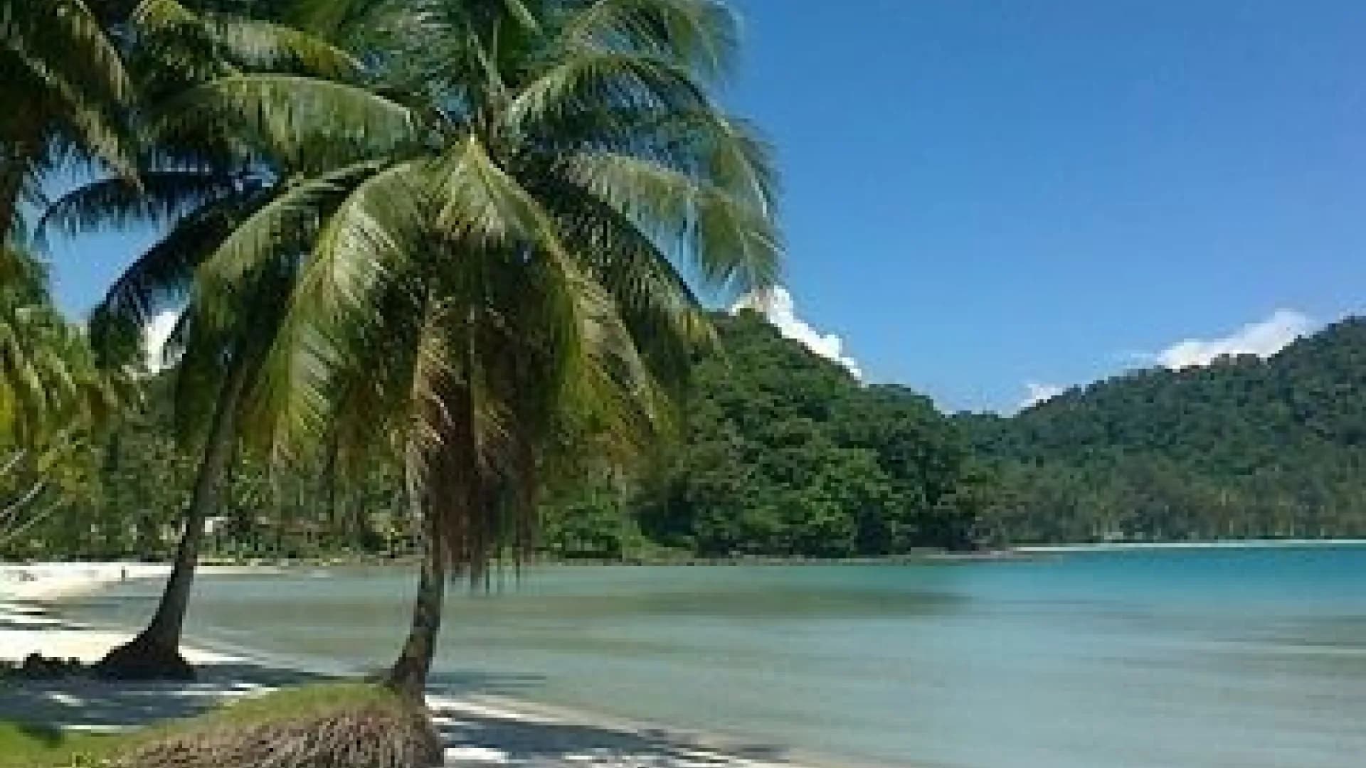 Изображение услуги14