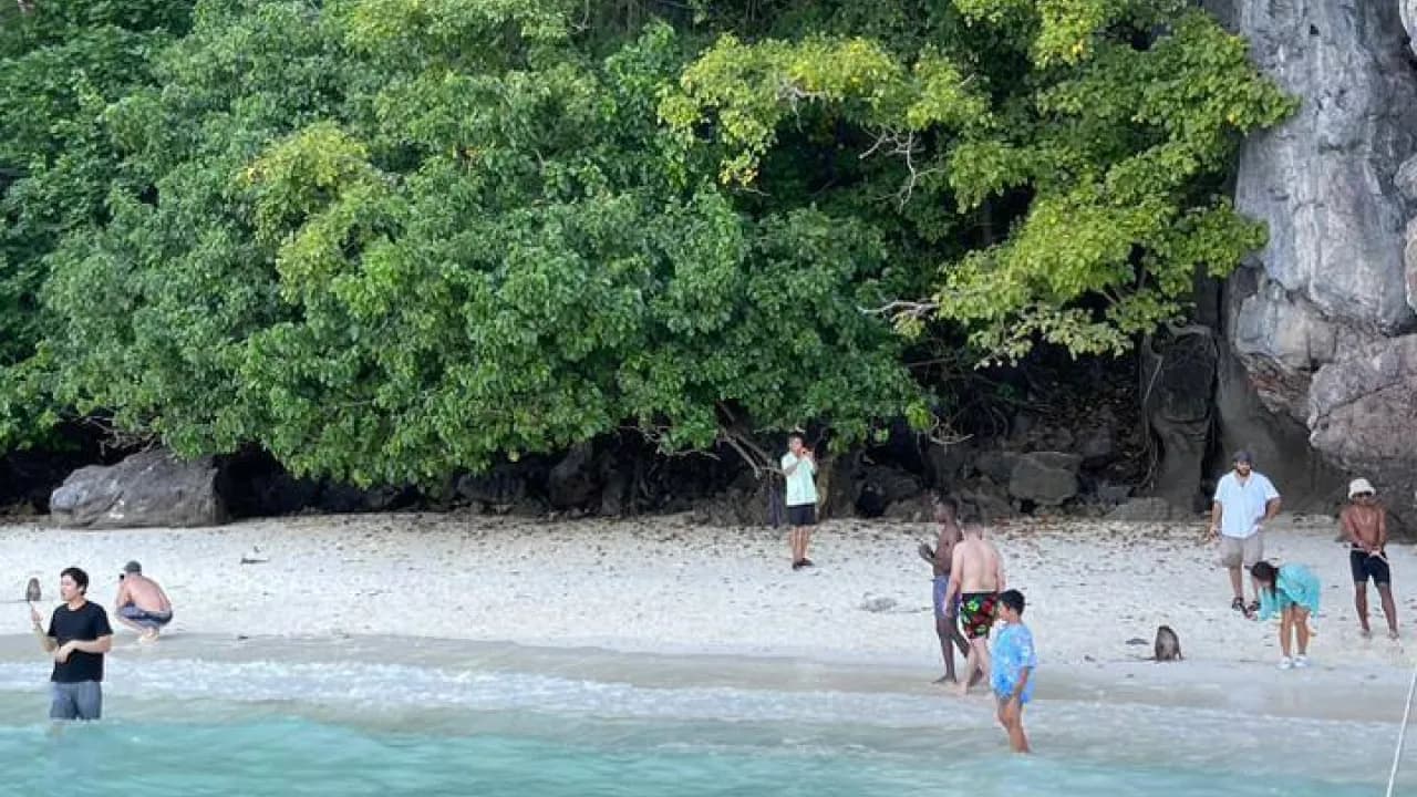 Изображение услуги5