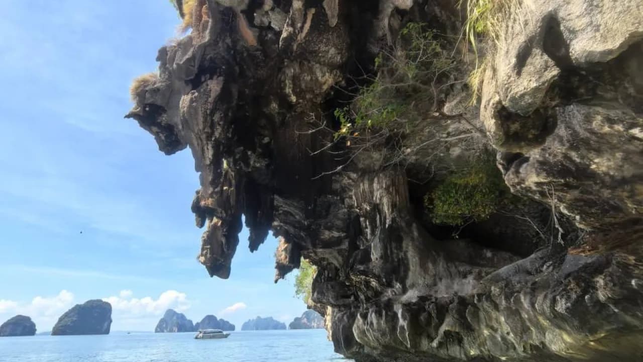 Изображение услуги4