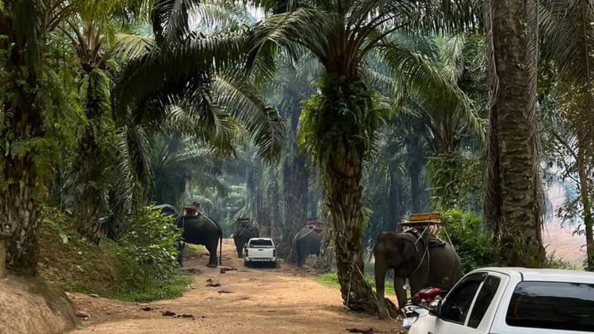 Изображение услуги4