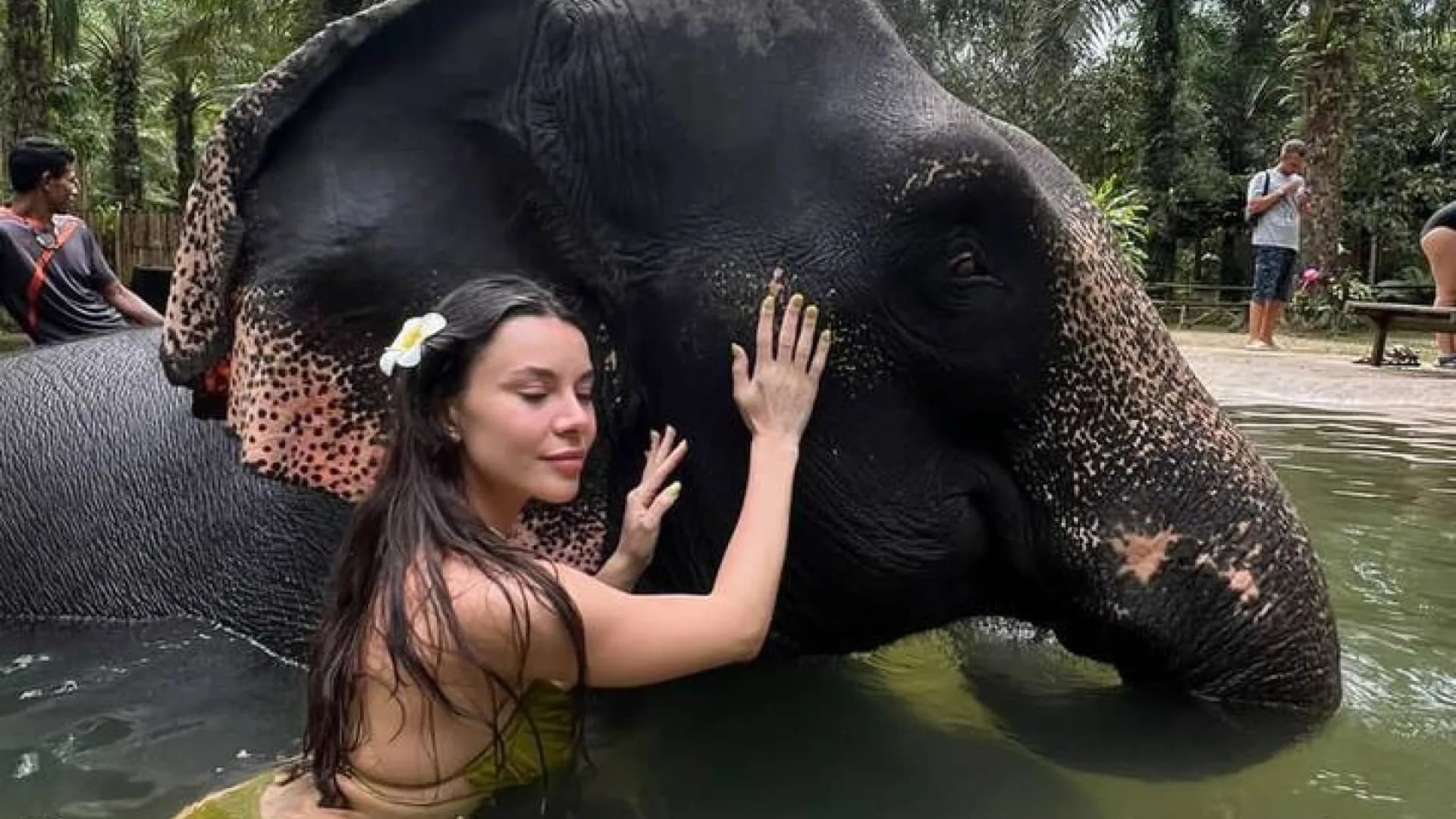 Изображение услуги5