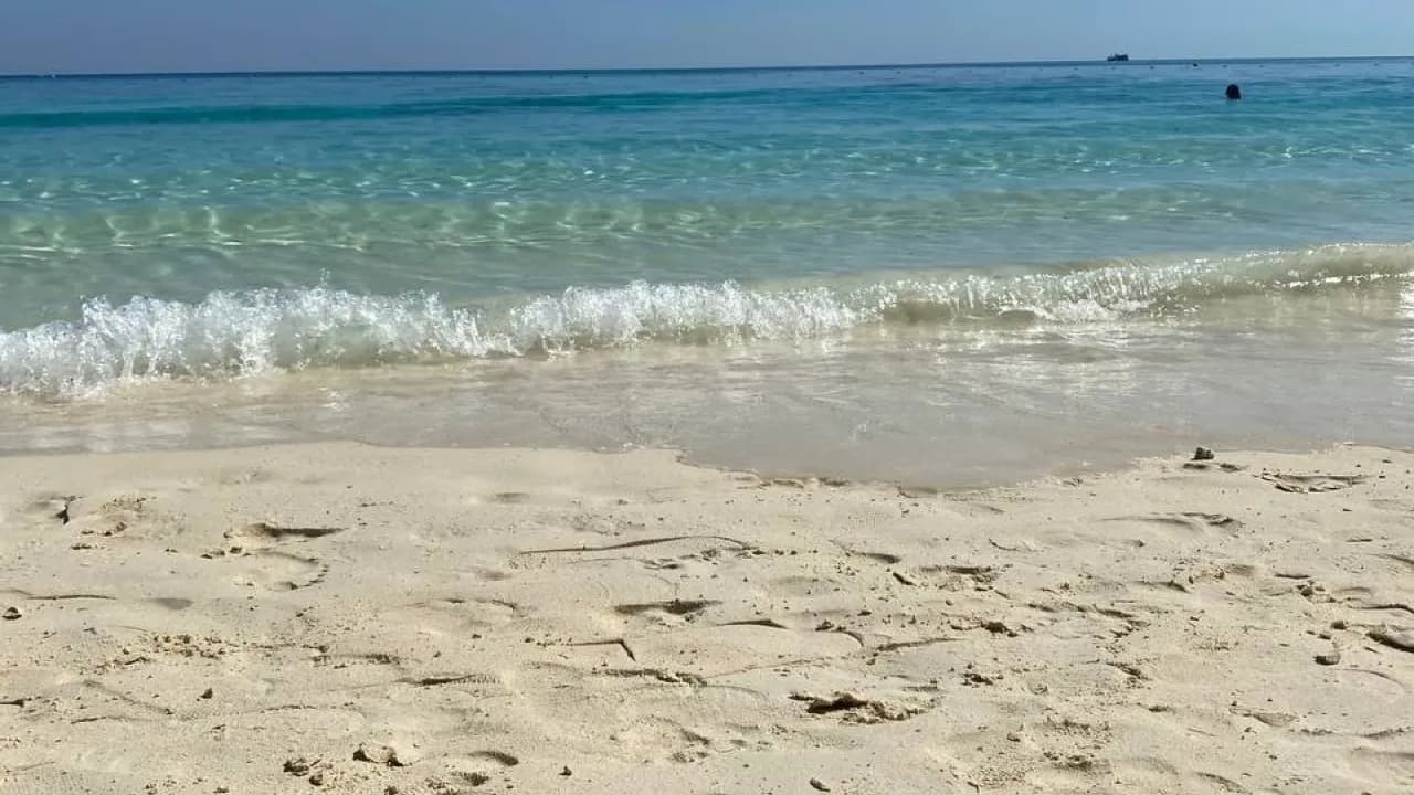 Изображение услуги1