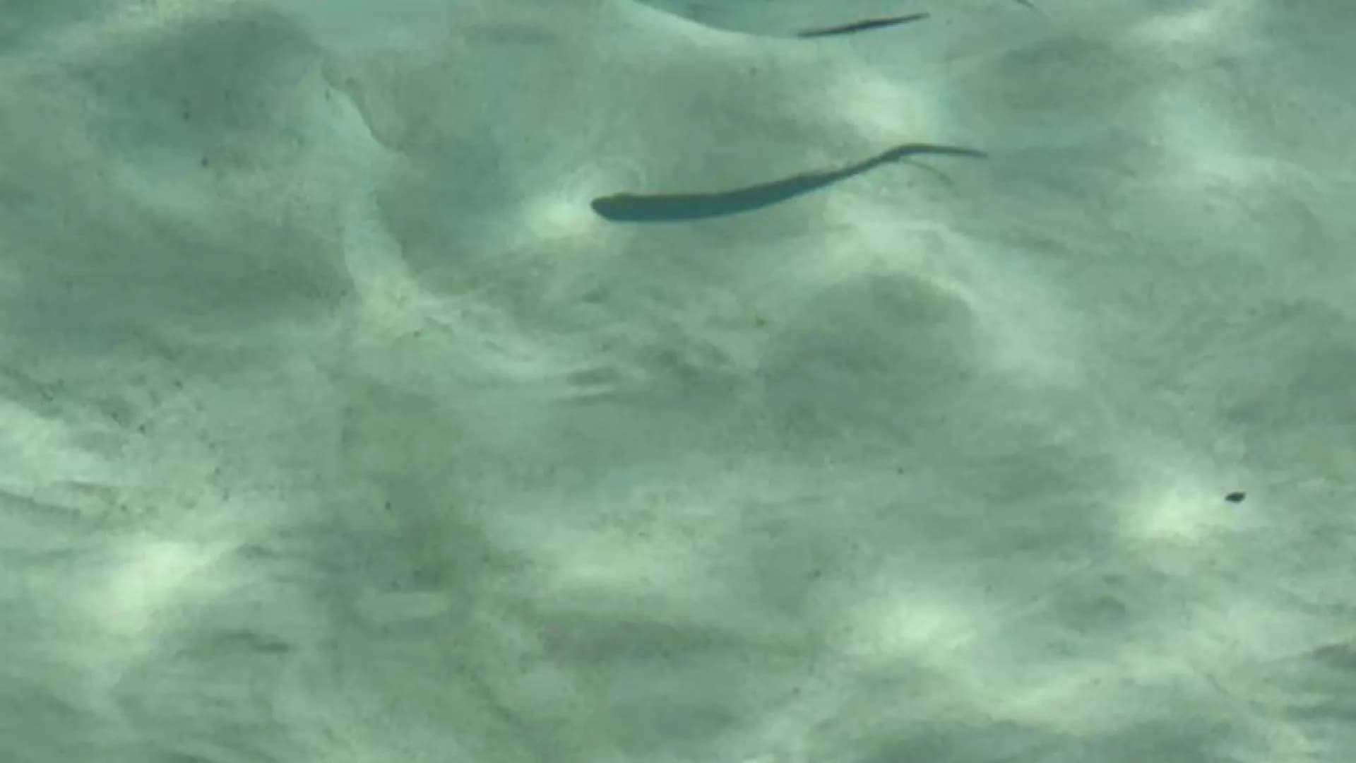 Изображение услуги2