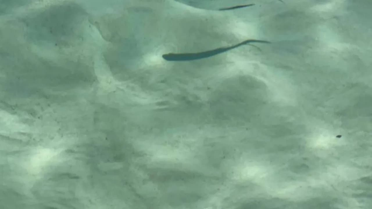 Изображение услуги2