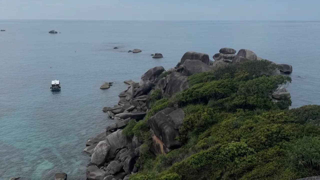 Изображение услуги1