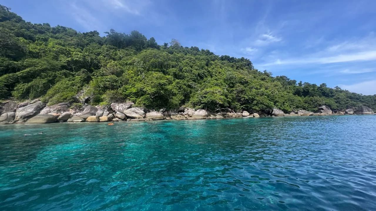 Изображение услуги4