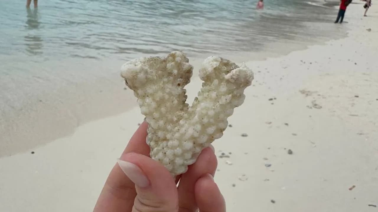 Изображение услуги5