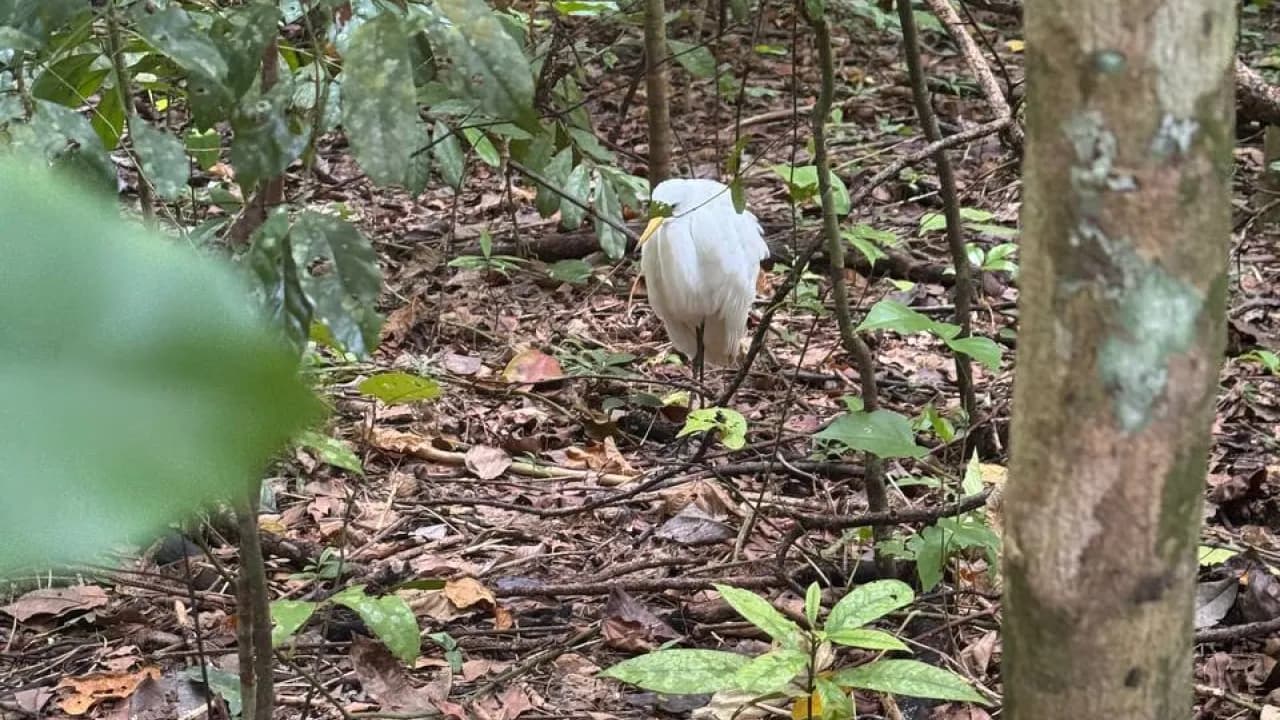 Изображение услуги7