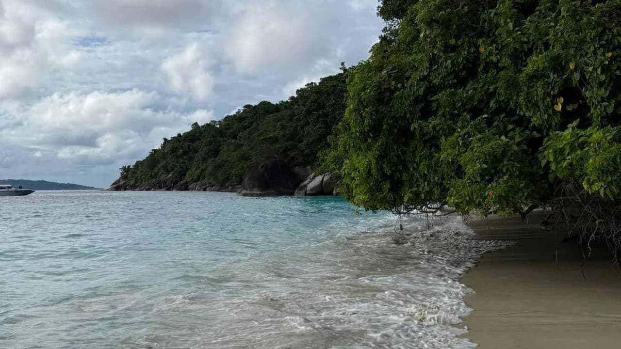 Изображение услуги8