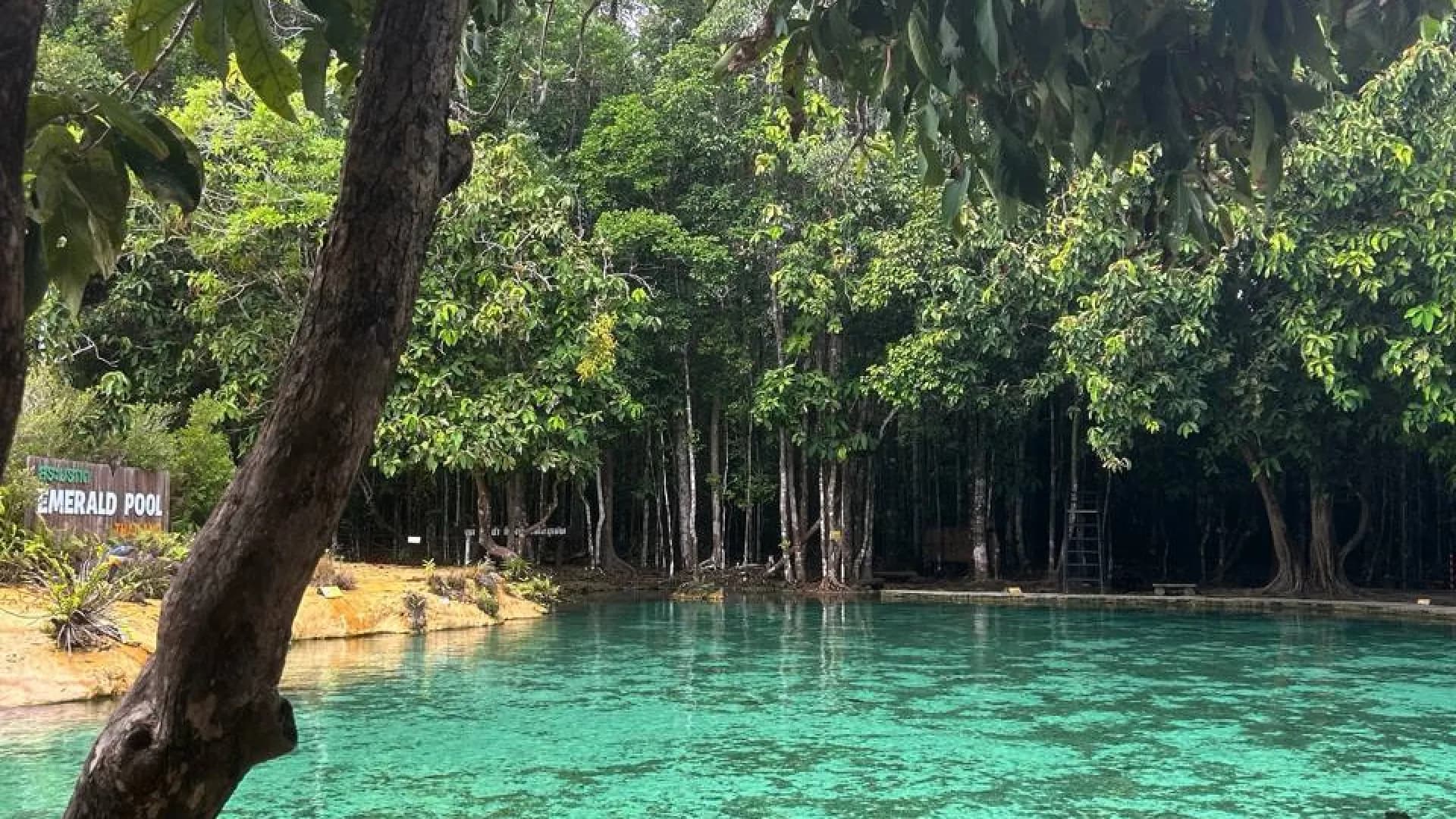 Изображение услуги0