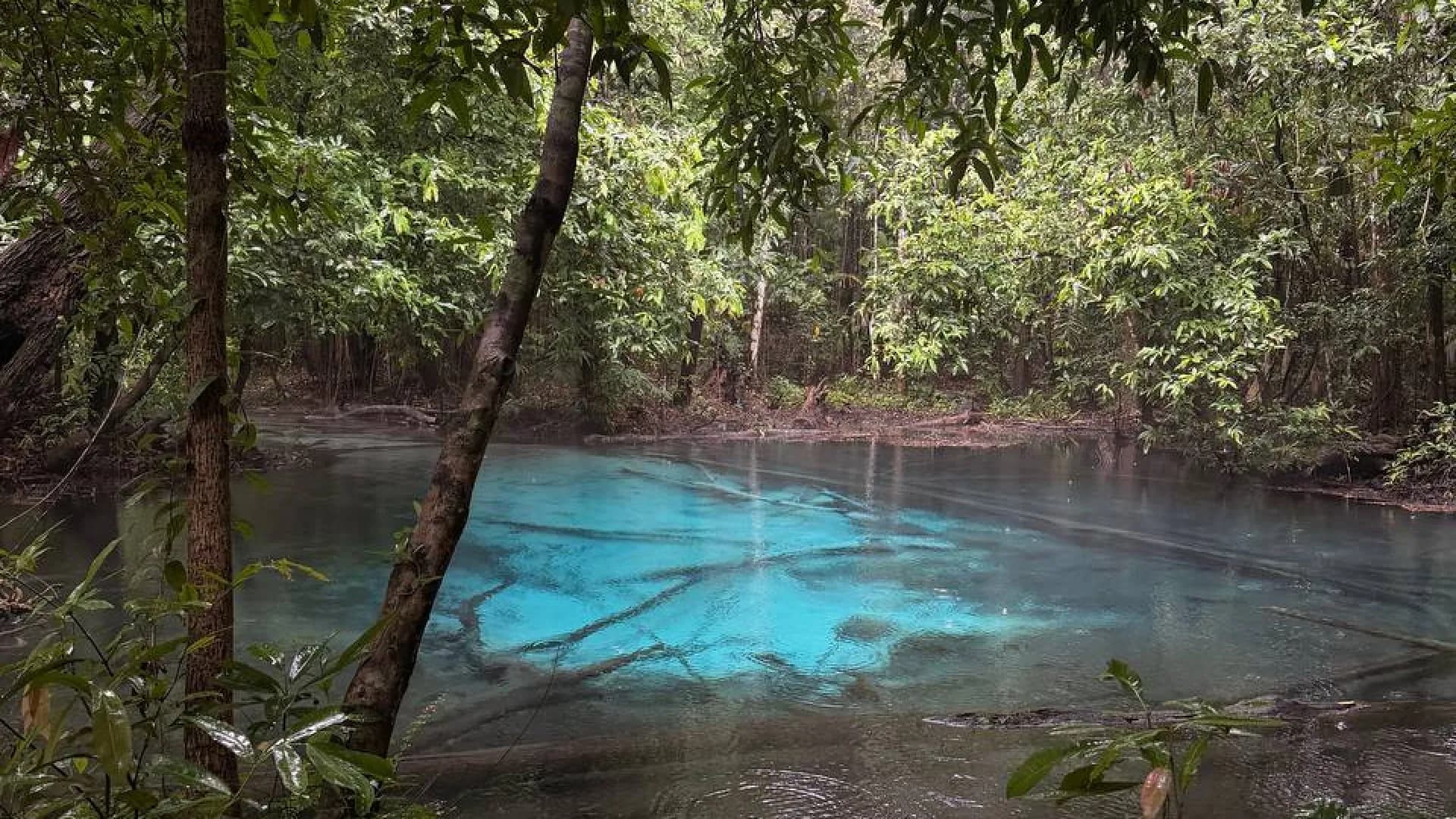 Изображение услуги3