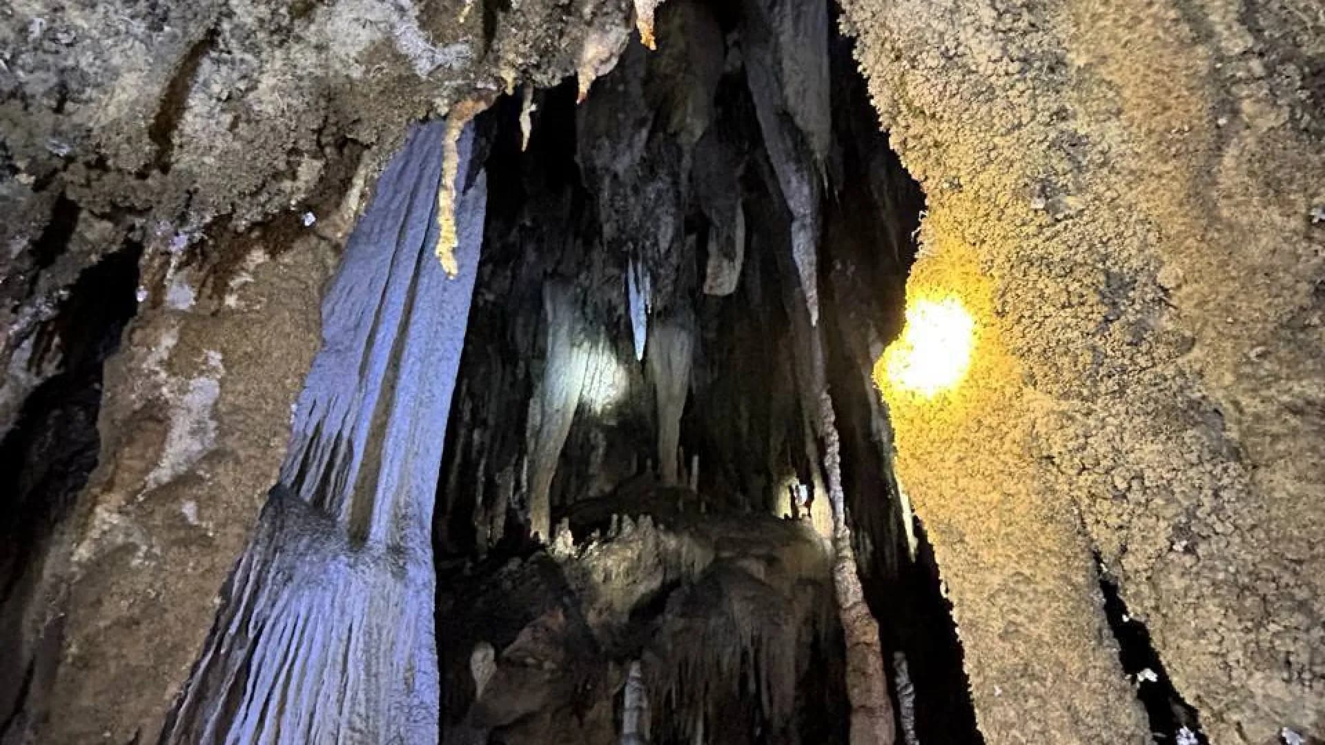 Изображение услуги5