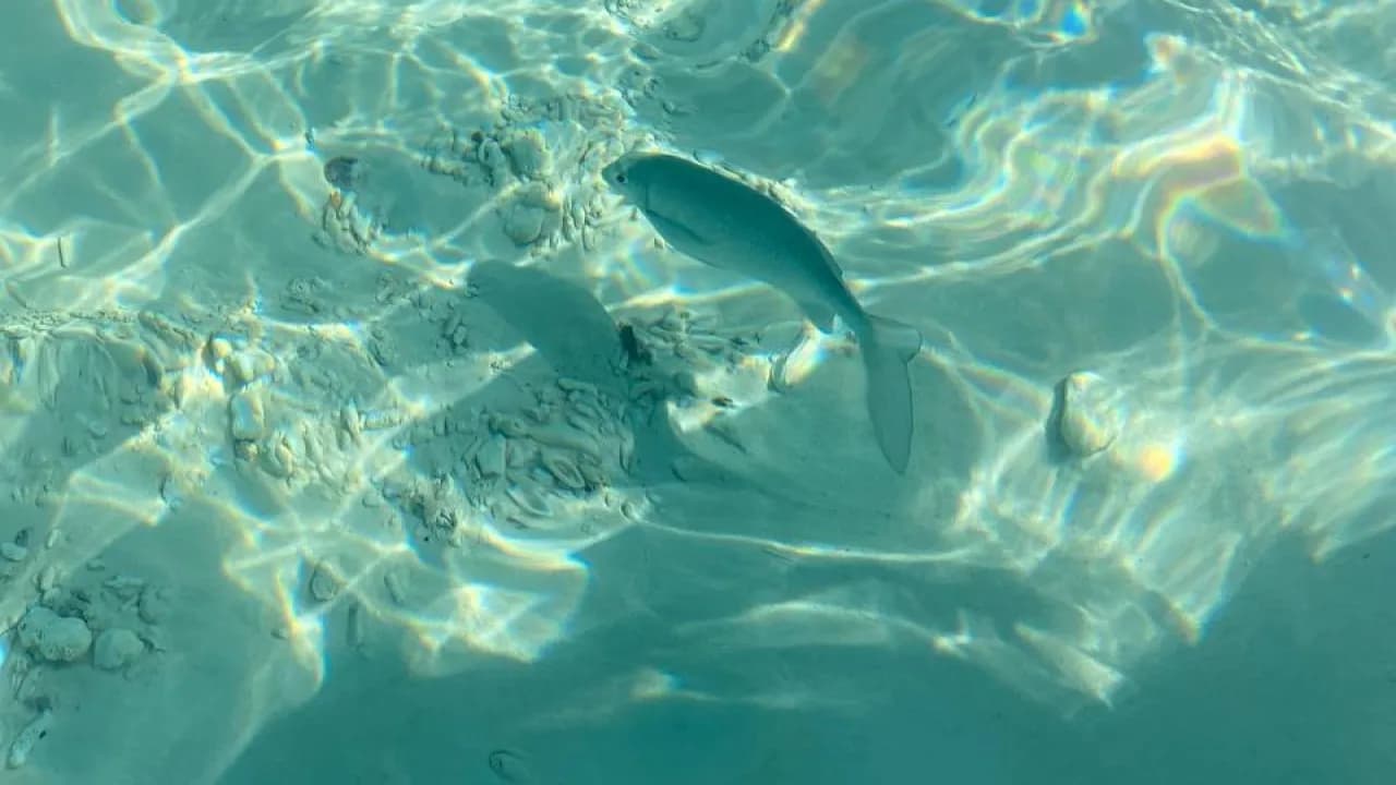 Изображение услуги6