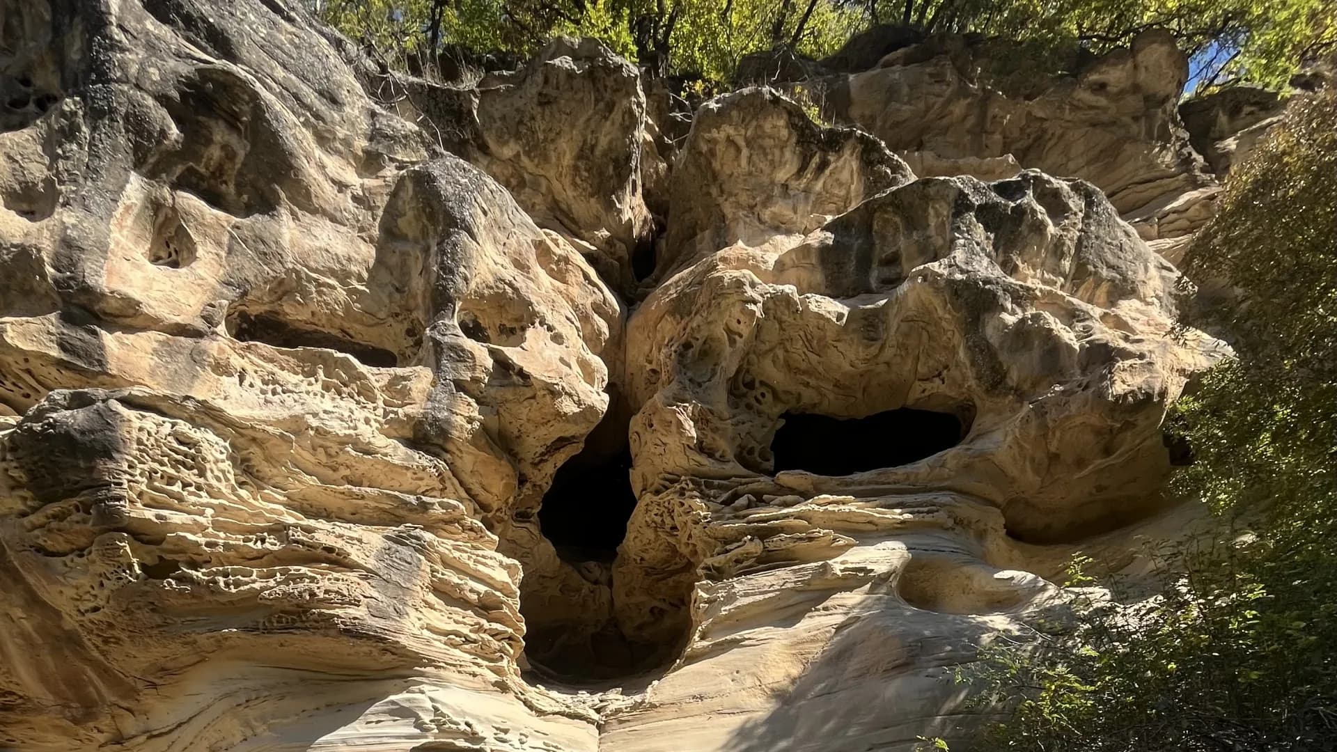 Изображение услуги8