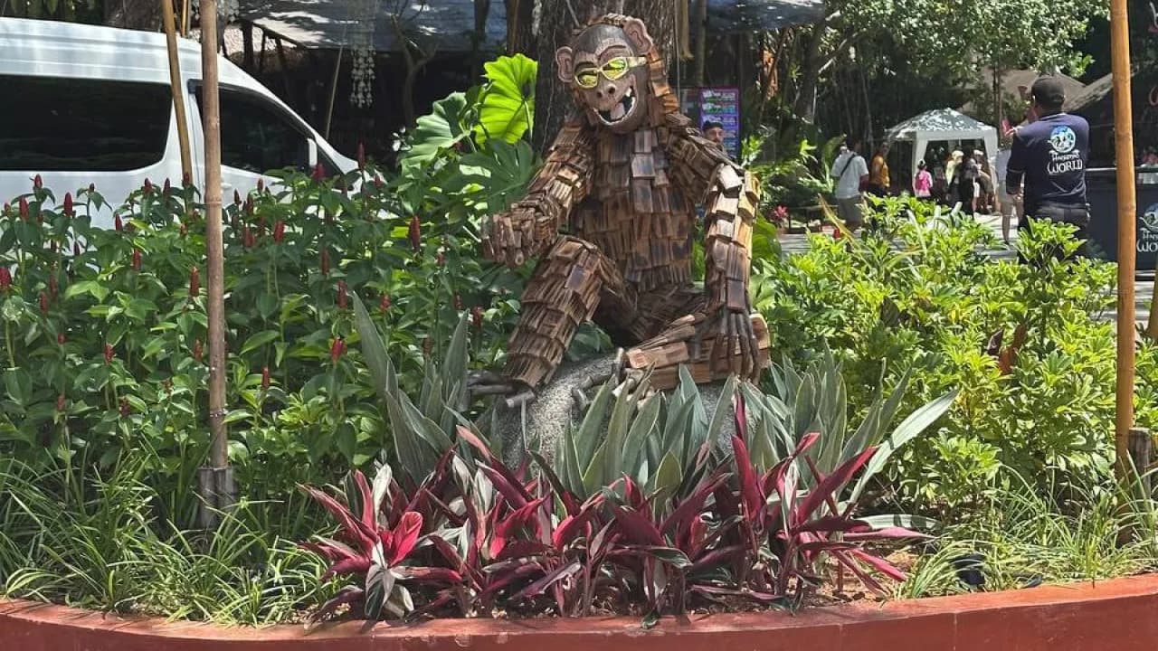 Изображение услуги8