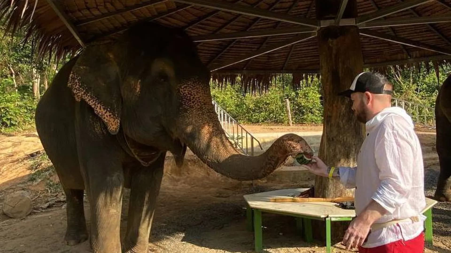 Изображение услуги1