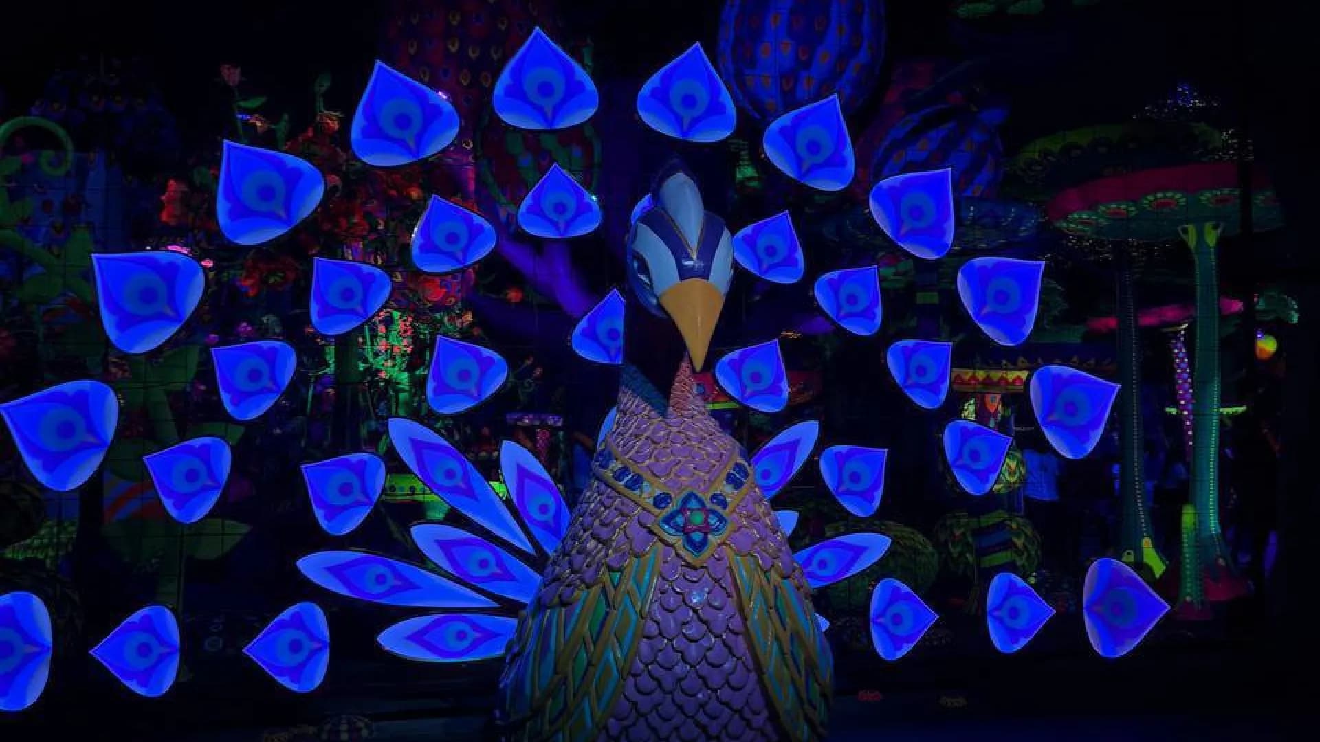 Изображение услуги8