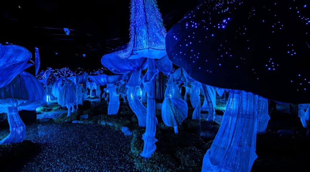 Изображение услуги3