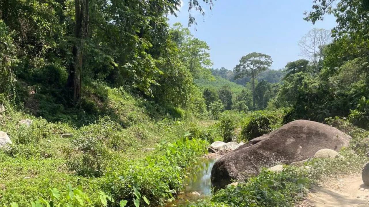 Изображение услуги1