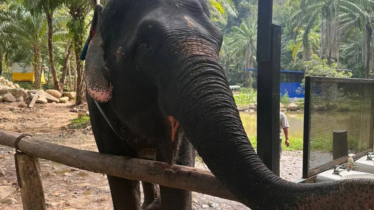 Изображение услуги5