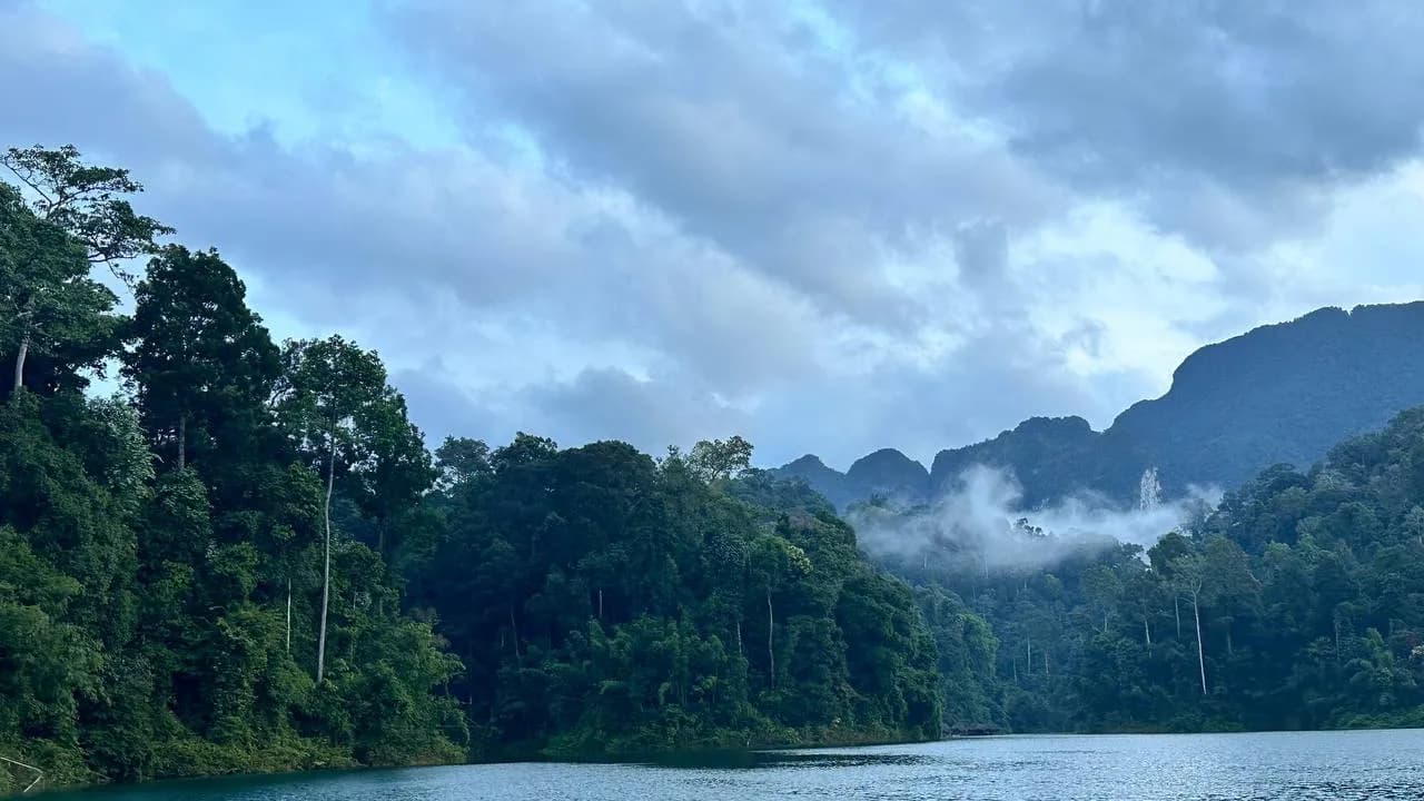 Изображение услуги8