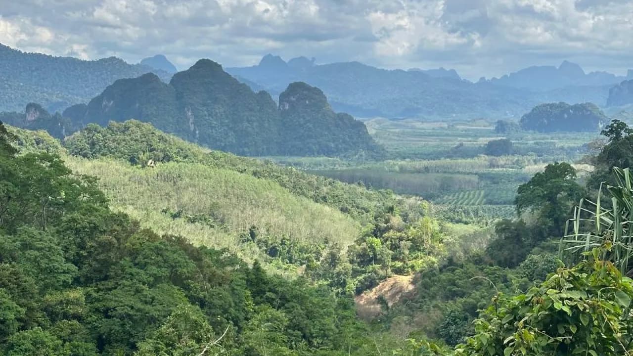 Изображение услуги11