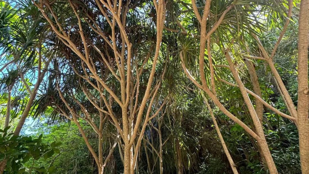 Изображение услуги4