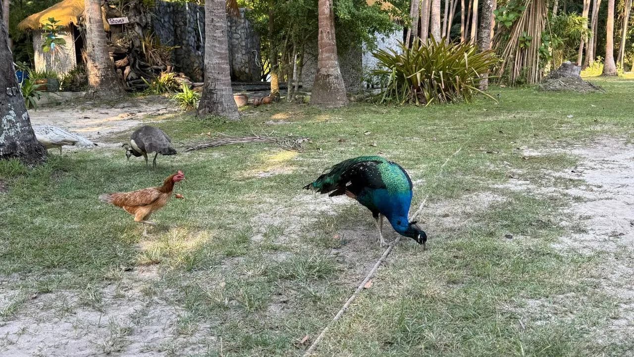 Изображение услуги2