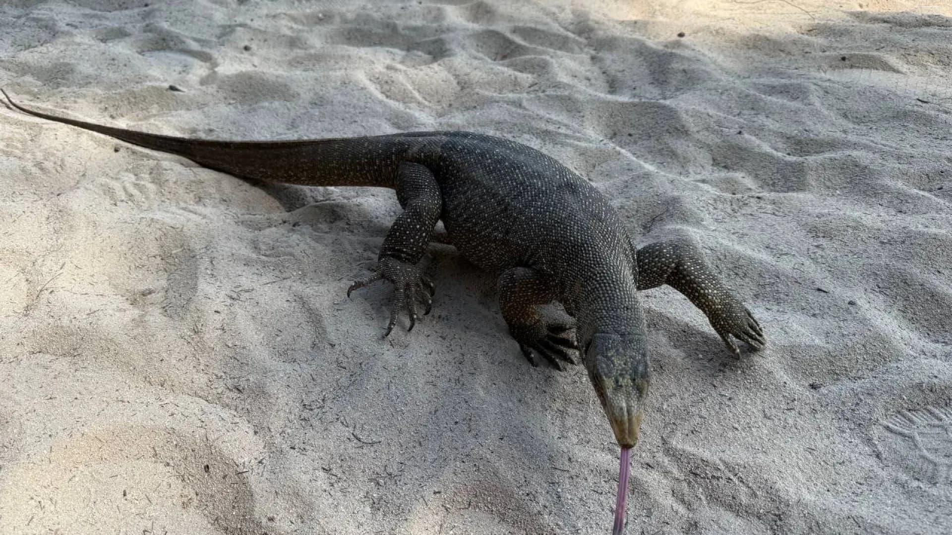 Изображение услуги3