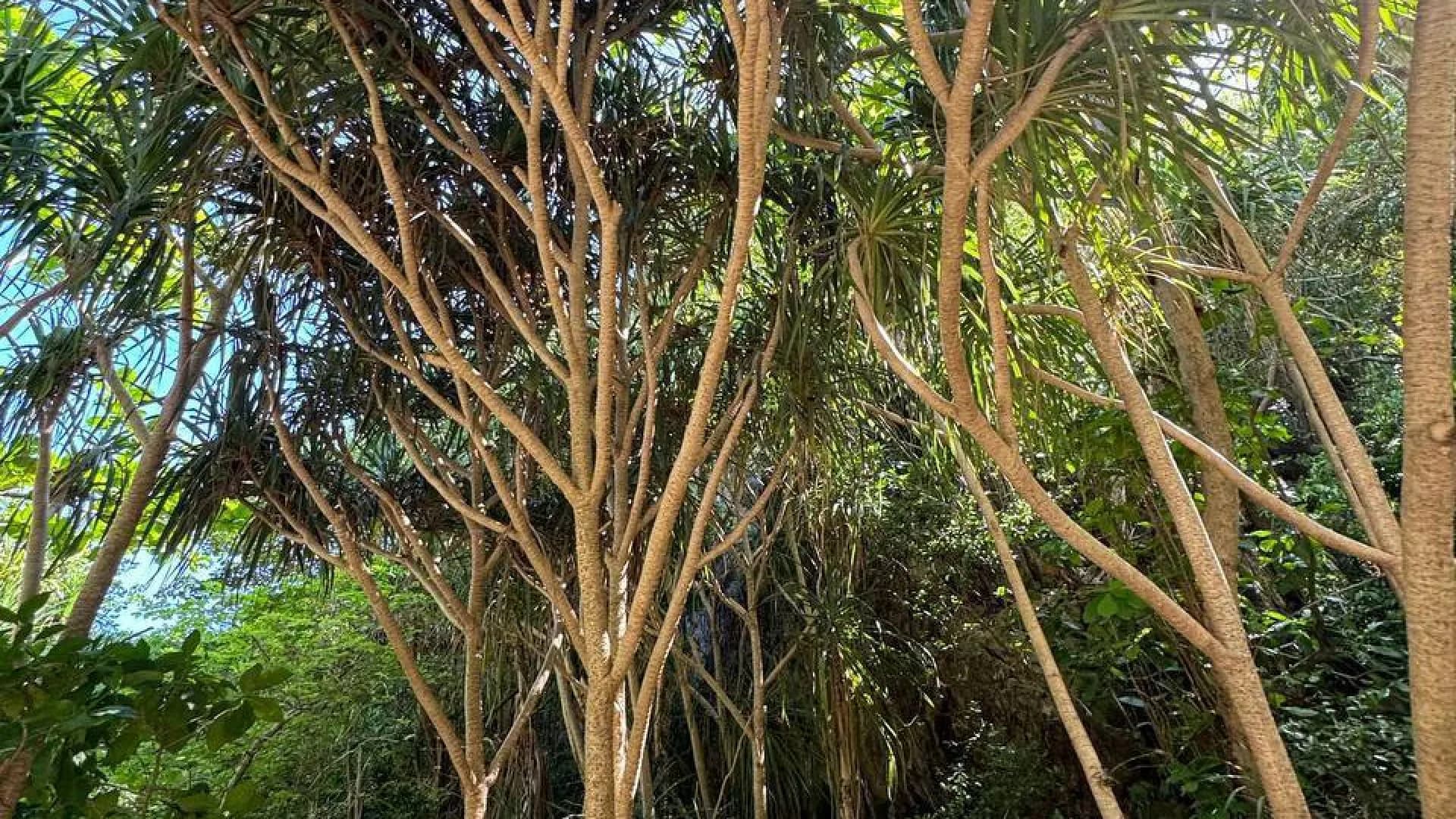 Изображение услуги9