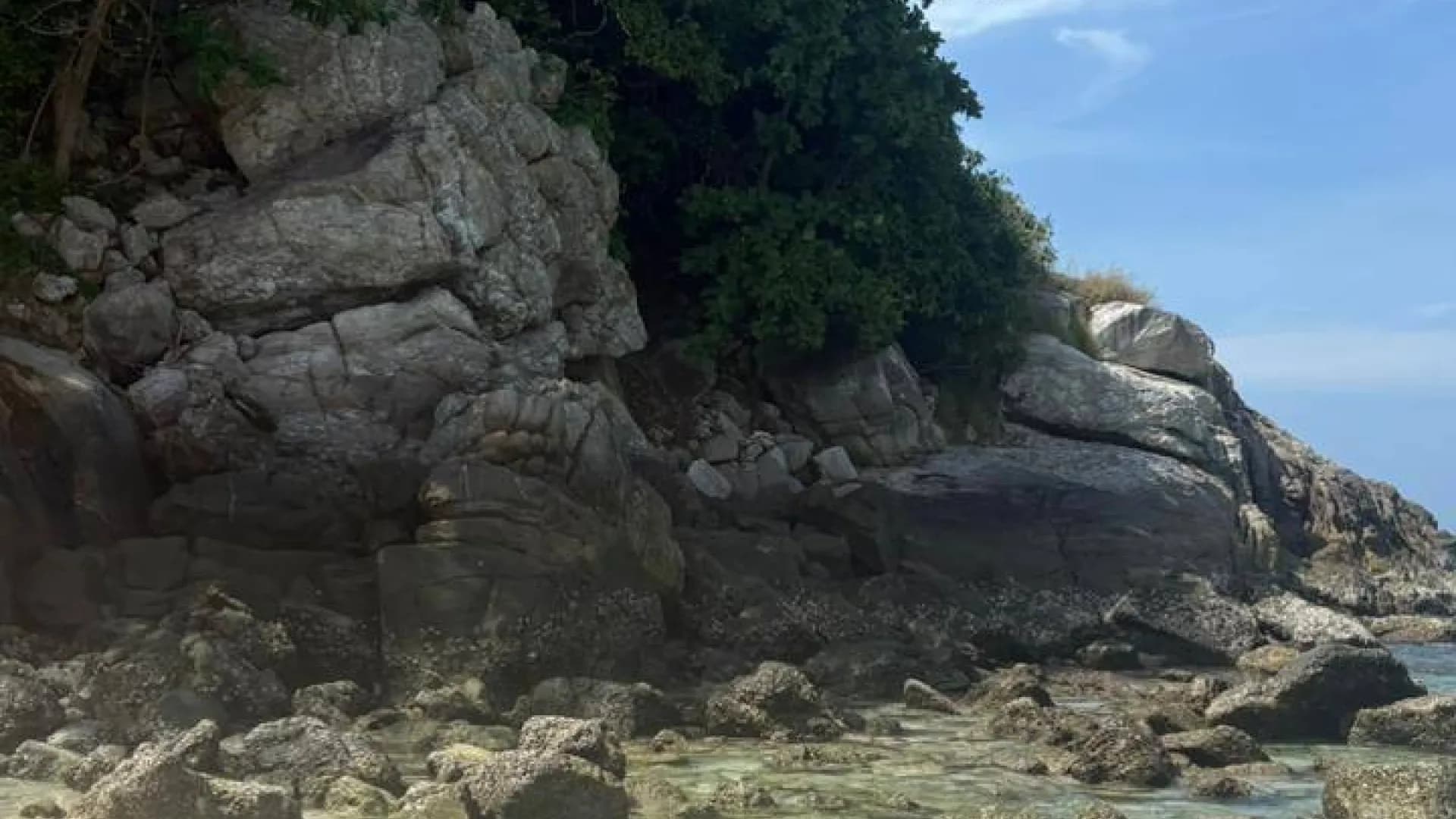 Изображение услуги4