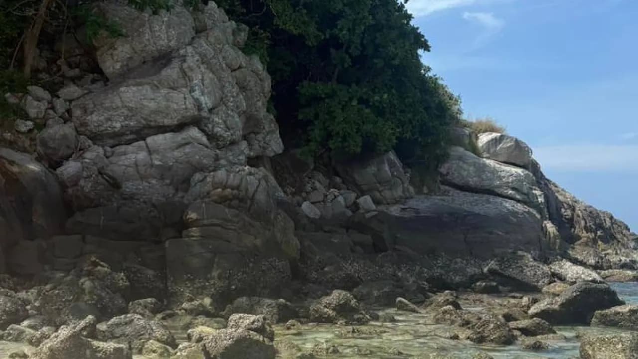 Изображение услуги4