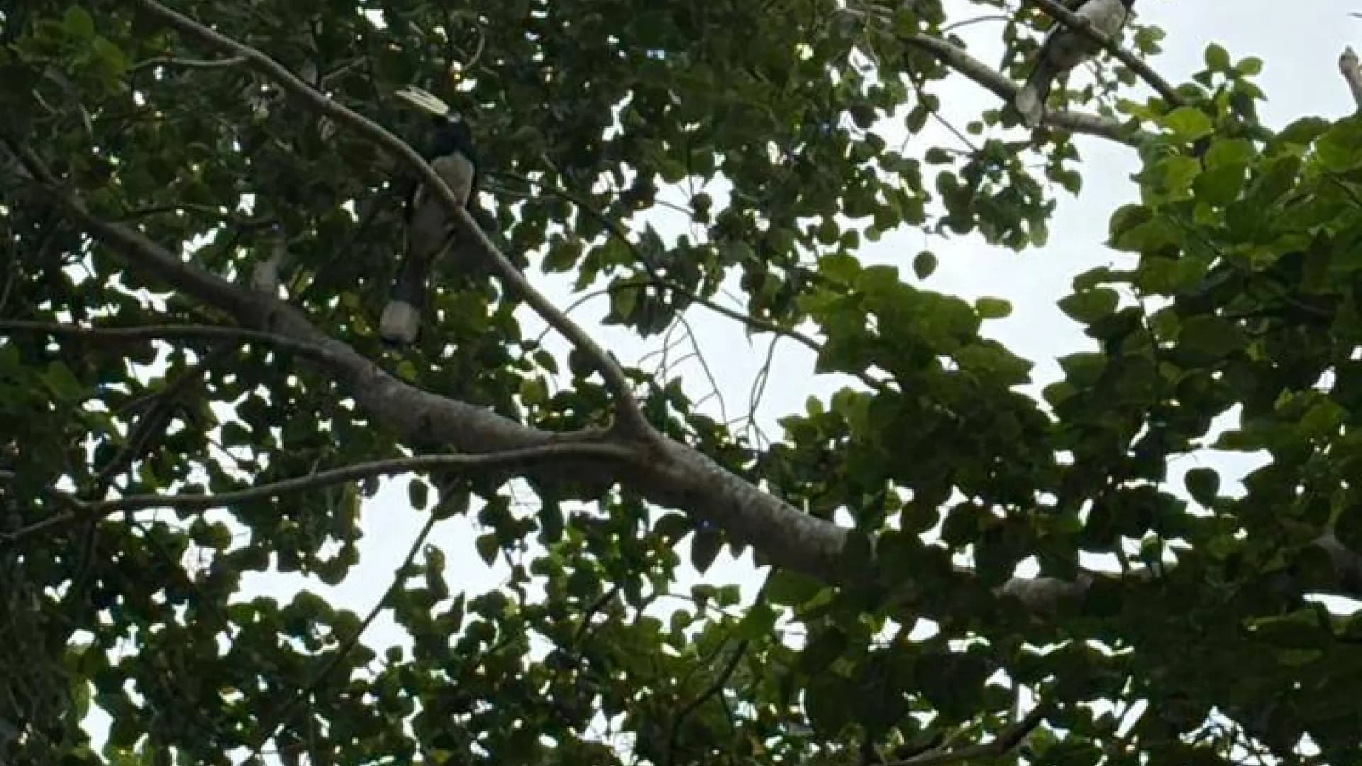 Изображение услуги7