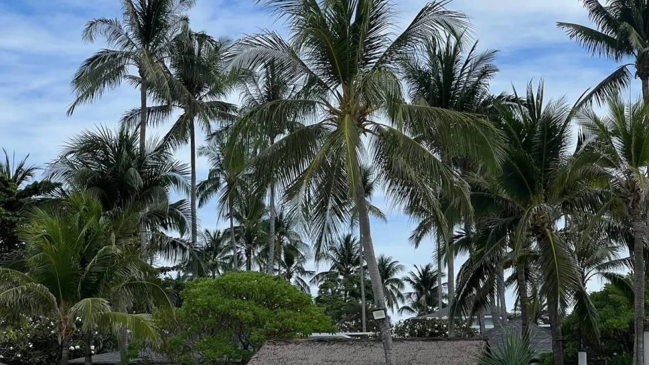 Изображение услуги9