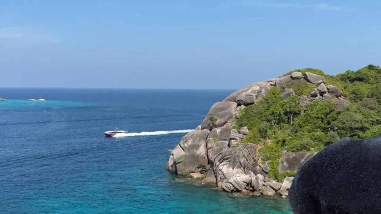 Изображение услуги4