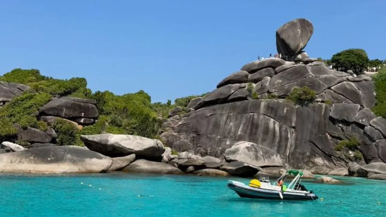 Изображение услуги5