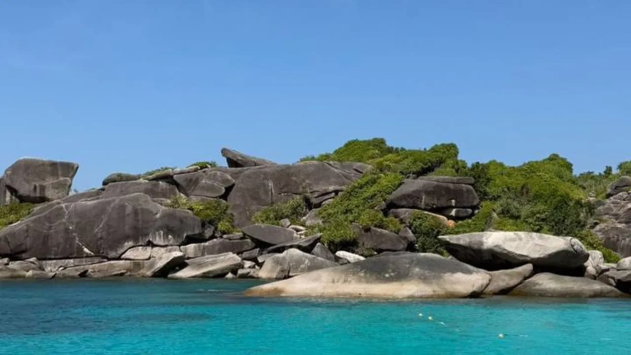 Изображение услуги6