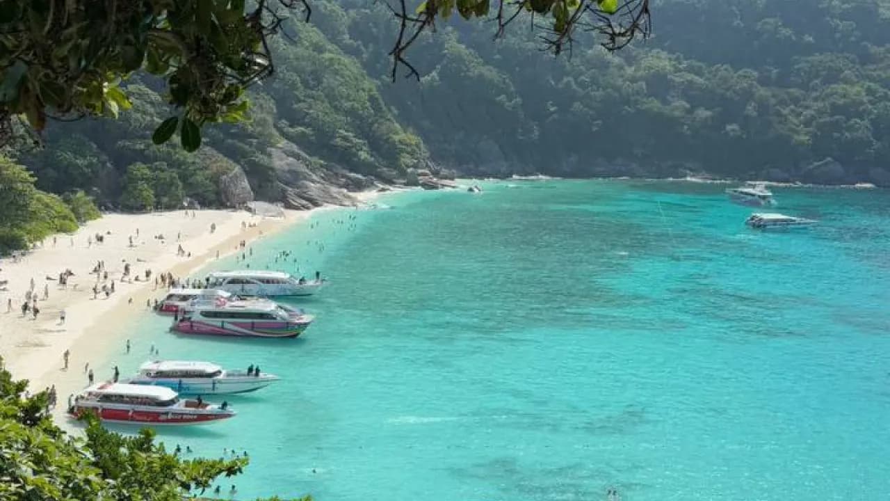 Изображение услуги5