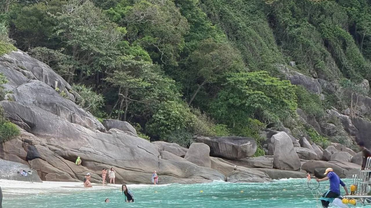 Изображение услуги7