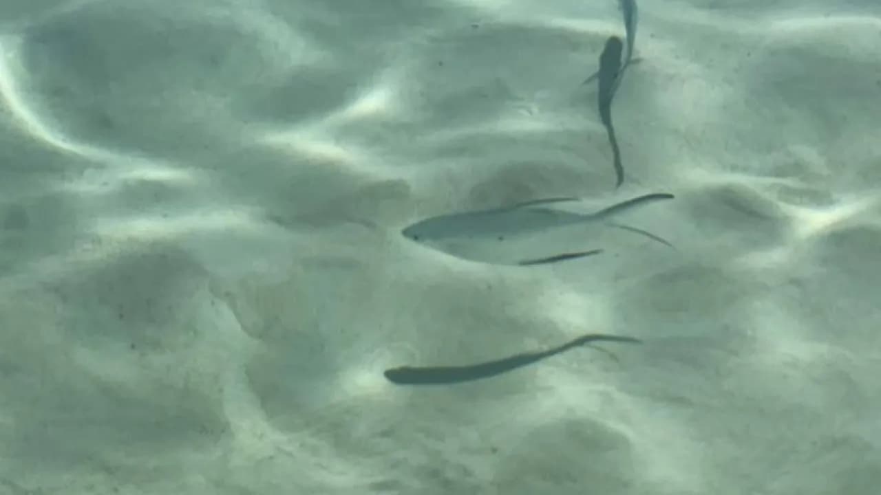 Изображение услуги4