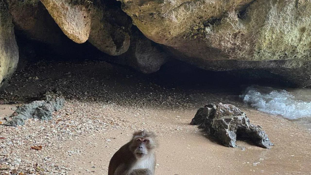 Изображение услуги4