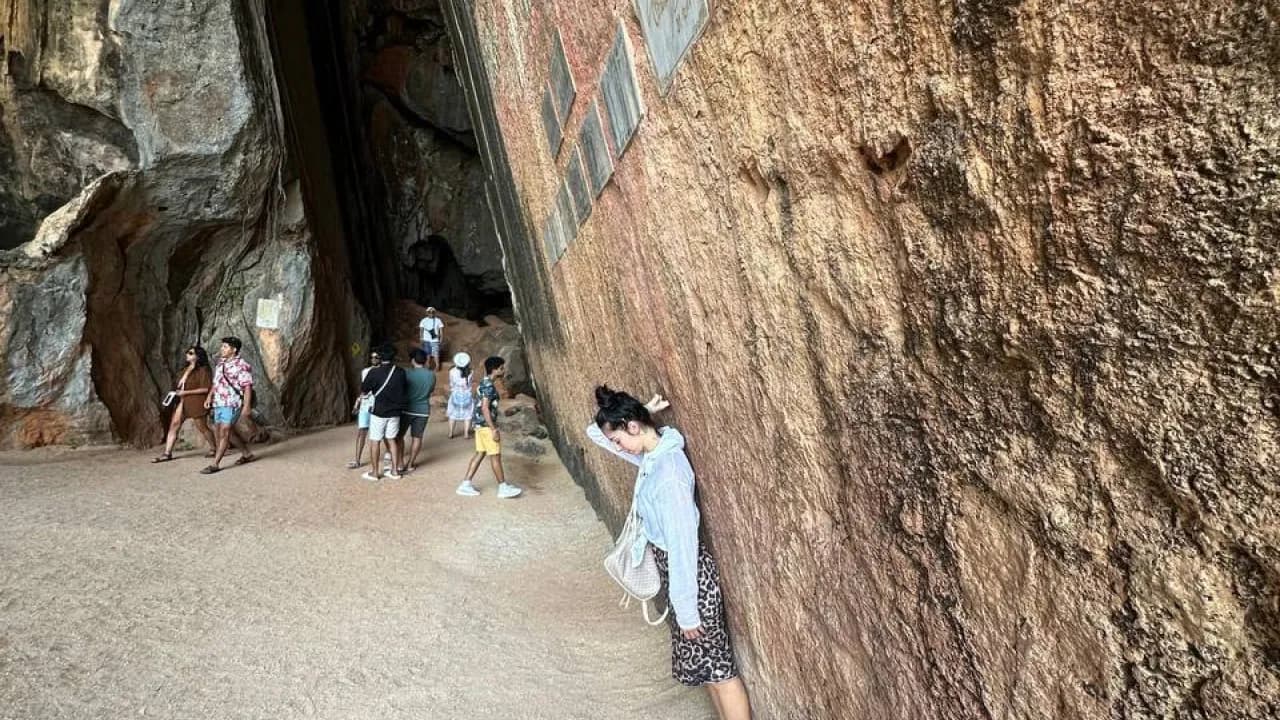 Изображение услуги5