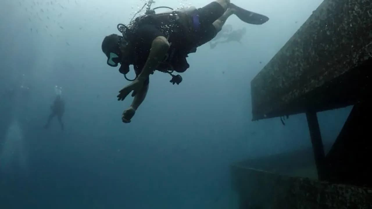 Изображение услуги1