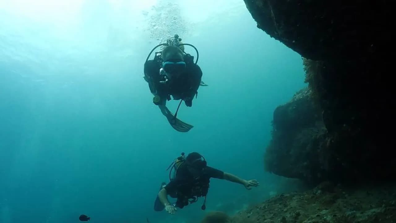 Изображение услуги3